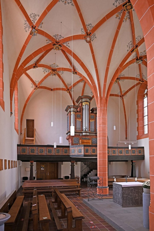 25-1 - Driesch.jpg